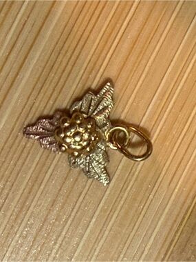 10k Gold  Floral Leaf Pendant Charm - Women's Jewelry